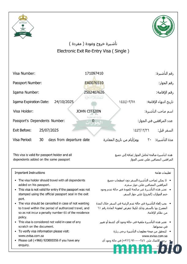Szablon e-visa do Arabii Saudyjskiej w wersji 3
